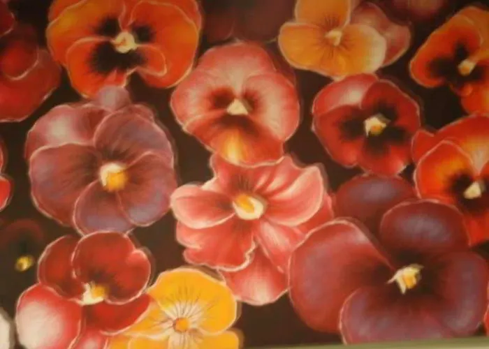 Bed & Breakfast Casa Di Lucia