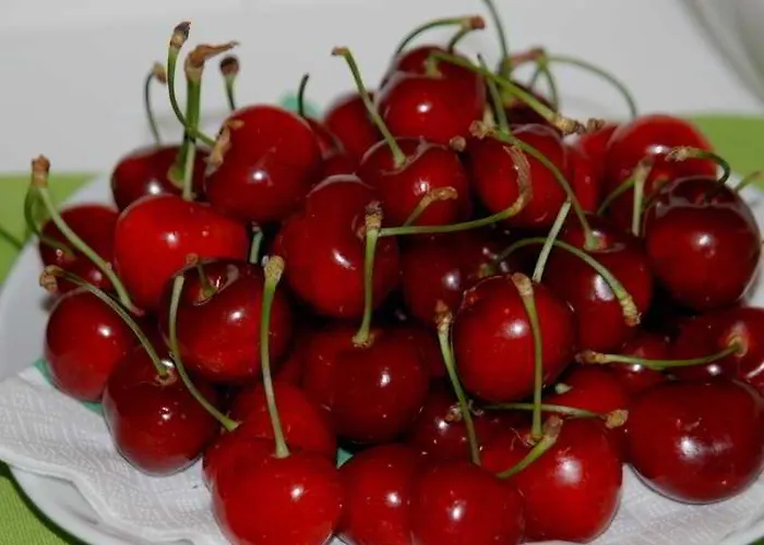 Bed & Breakfast Casa Di Lucia